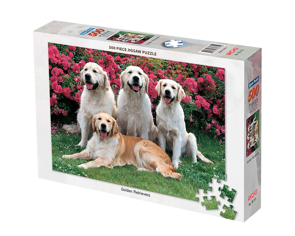 Golden Retrievers